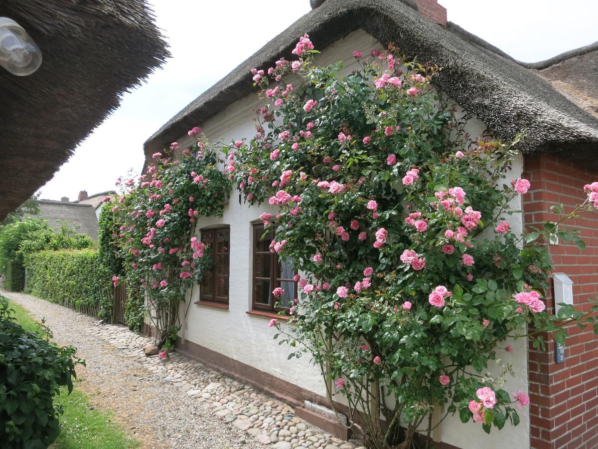 Haus-An-De-Marsch Appartement Midlum  Buitenkant foto